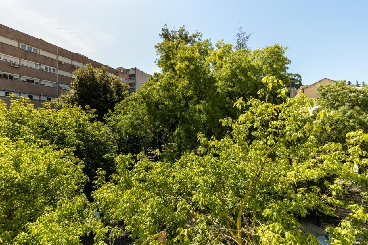Comfy 3 Bedroom Apartment Campo De Ourique Lisboa Εξωτερικό φωτογραφία